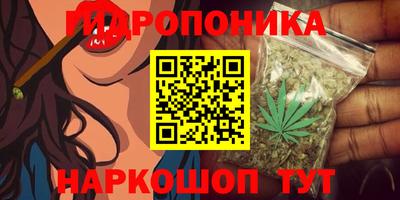 ГАЛЛЮЦИНОГЕННЫЕ ГРИБЫ Коммунар