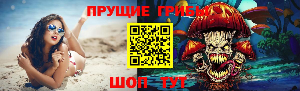 Губкин  сколько стоит  Вход с VPN  Галлюциногенные грибы Magic Shrooms 